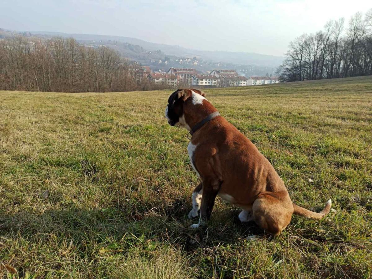 La Grande Motte *
